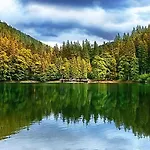 лісова тиша дворівневий люкс * Felsőszinevér