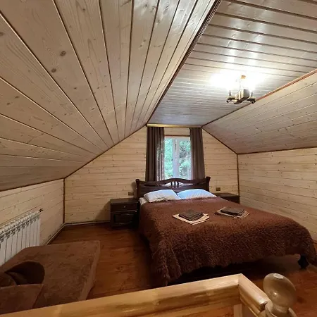 лісова тиша дворівневий люкс Διαμέρισμα Synevyrsʼka Polyana