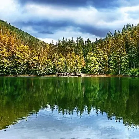 лісова тиша дворівневий люкс * Synevyrsʼka Polyana