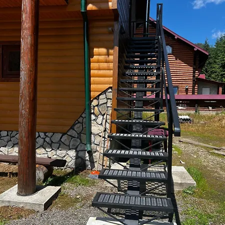 Διαμέρισμα лісова тиша дворівневий люкс *