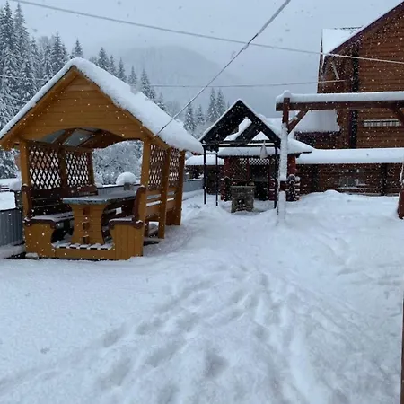 лісова тиша дворівневий люкс *