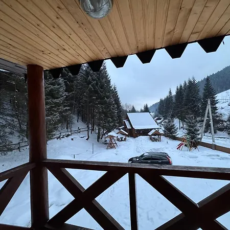 Διαμέρισμα лісова тиша дворівневий люкс Synevyrsʼka Polyana